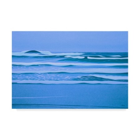 Ron Parker 'Sombre Shore' Canvas Art,22x32